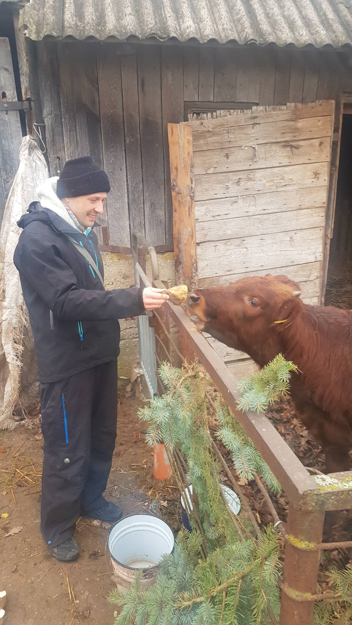 11 karuvciu maitinimas aukotu maistu govardhano sventes proga 2020 11 15