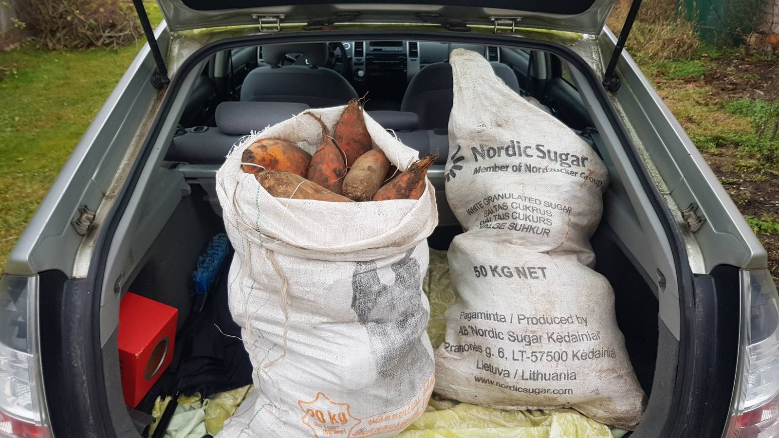 3 karuvciu maitinimas aukotu maistu govardhano sventes proga 2020 11 15