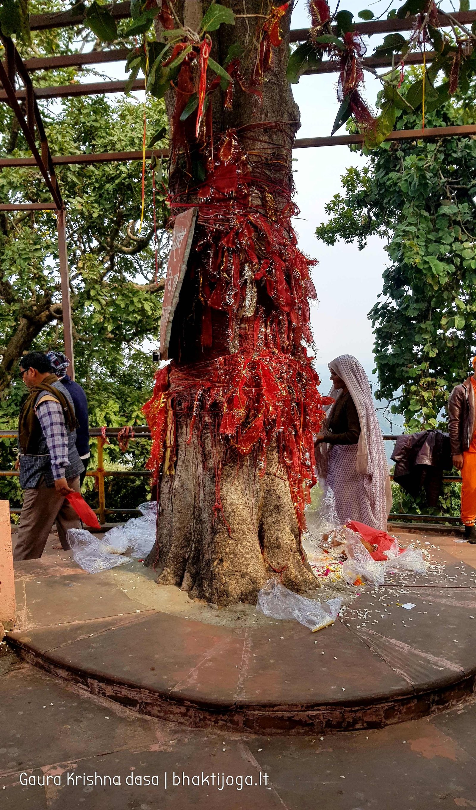 2 chandi devi temple haridwar 2020 02 19