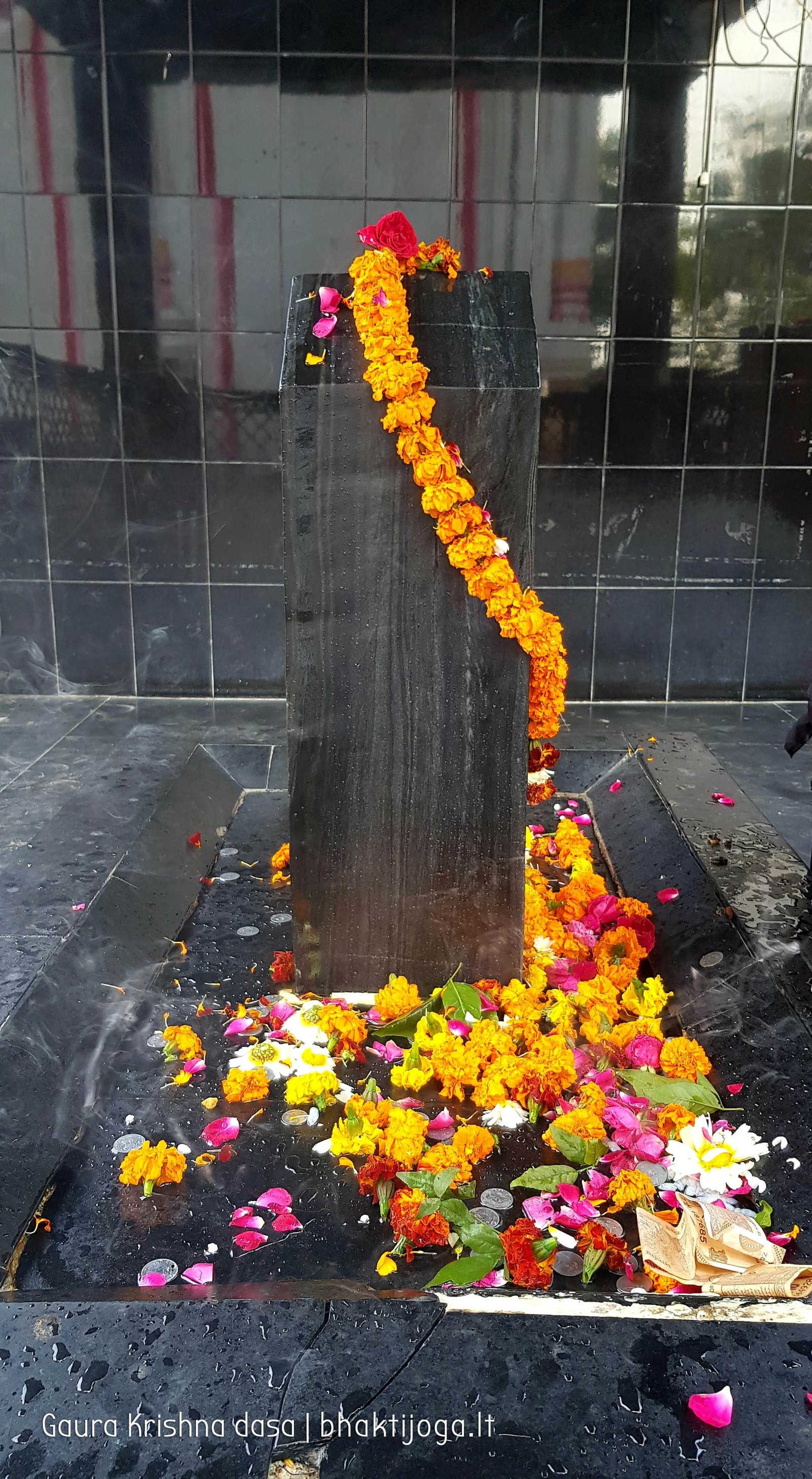 10 kankhal haridwar 2020 02 21