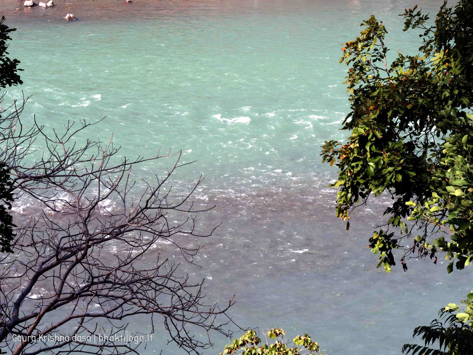 27 ganga rishikesh 2020.02.19 20