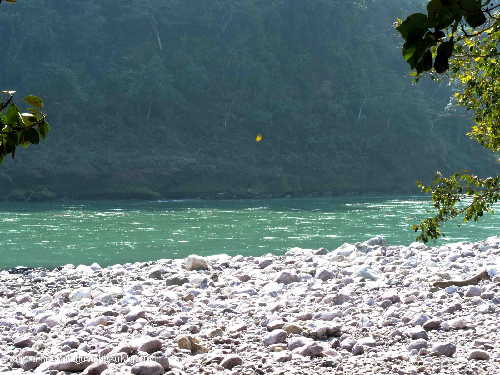 52 ganga rishikesh 2020.02.19 20