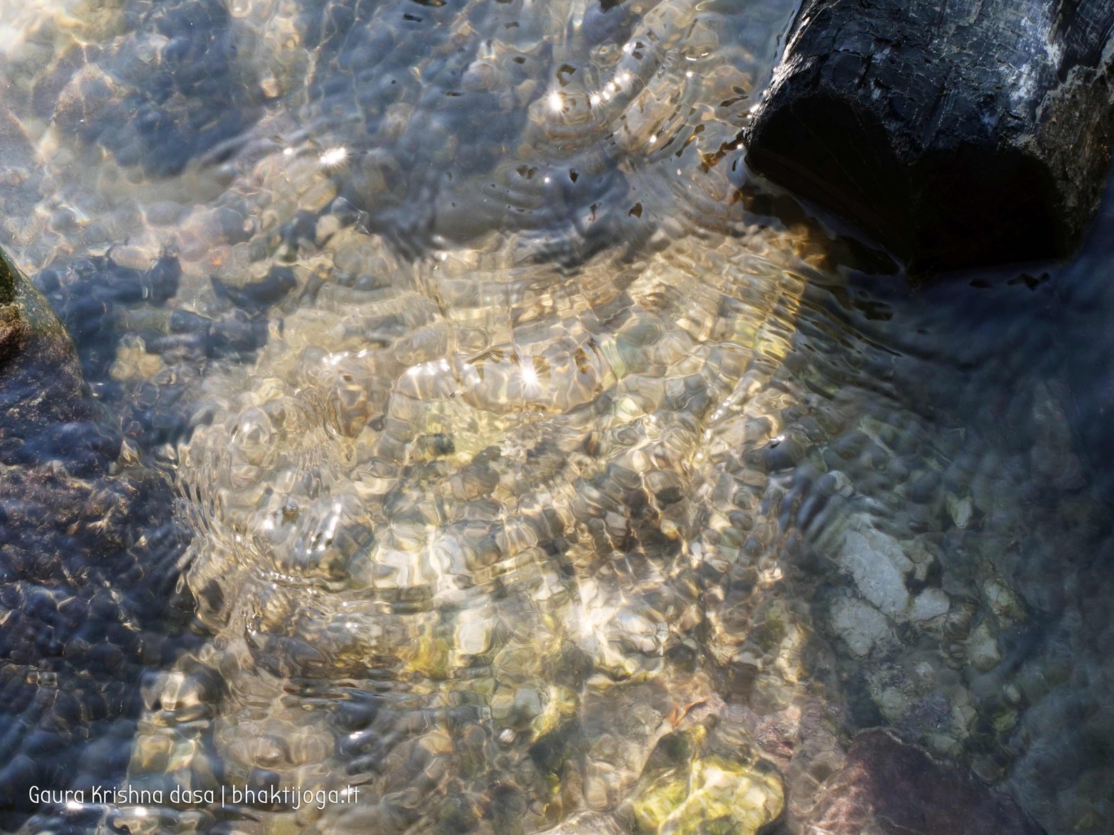 54 ganga rishikesh 2020.02.19 20