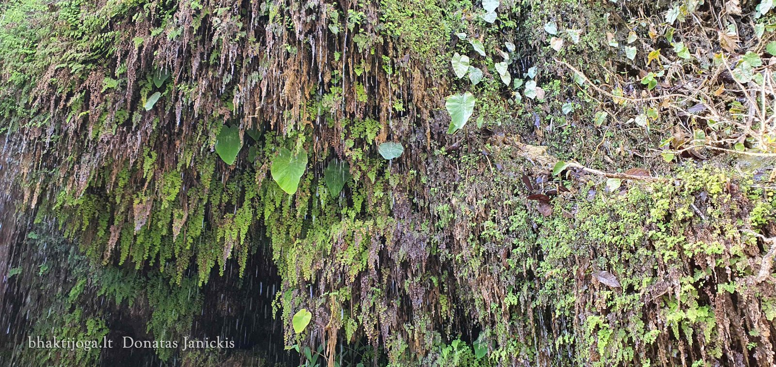 3 sahastra dhara 2023 02 24