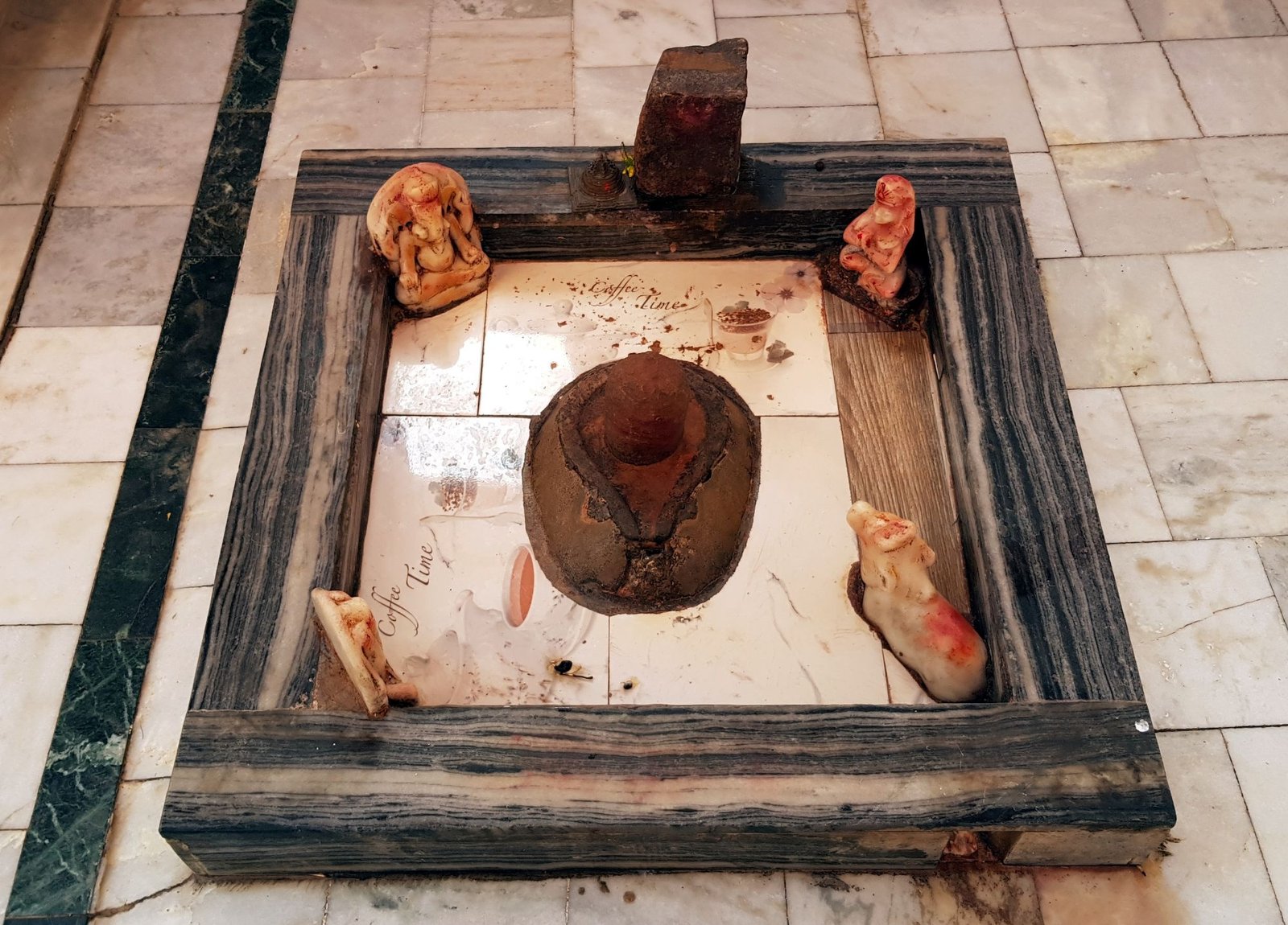 8 chandra sarovara 2020 01 29