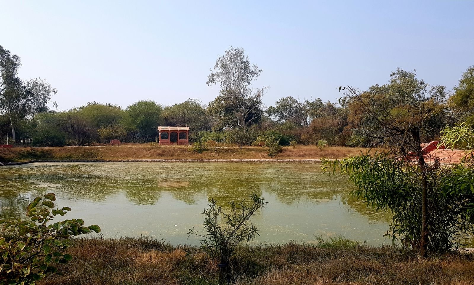 12 ter kadamba 2020 02 091