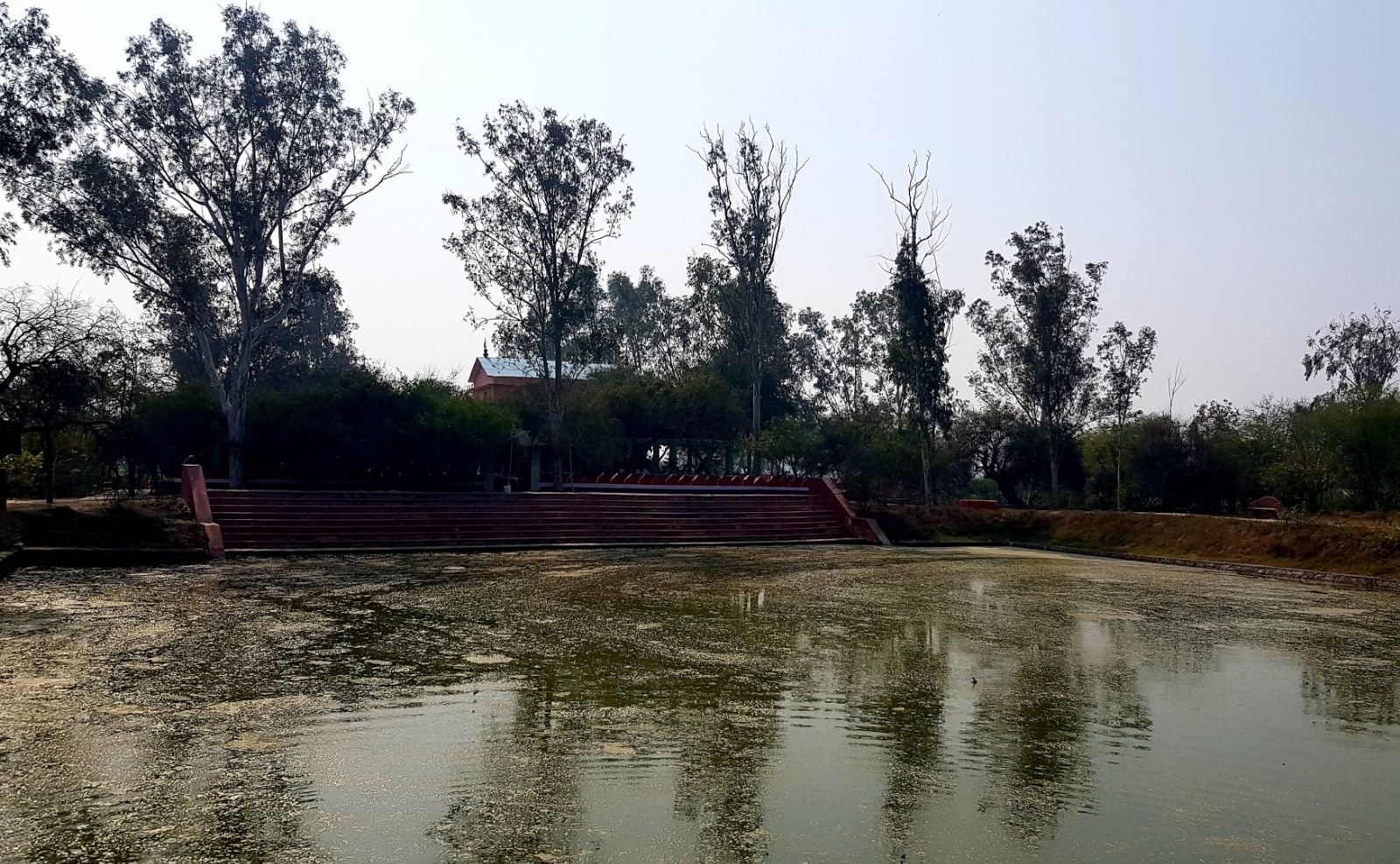 13 ter kadamba 2020 02 091