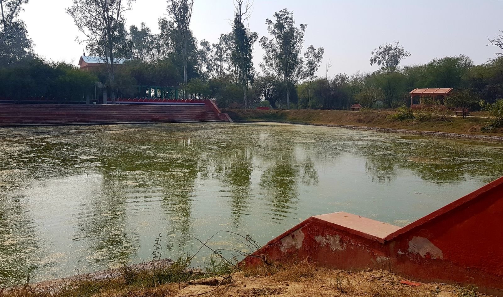 14 ter kadamba 2020 02 091