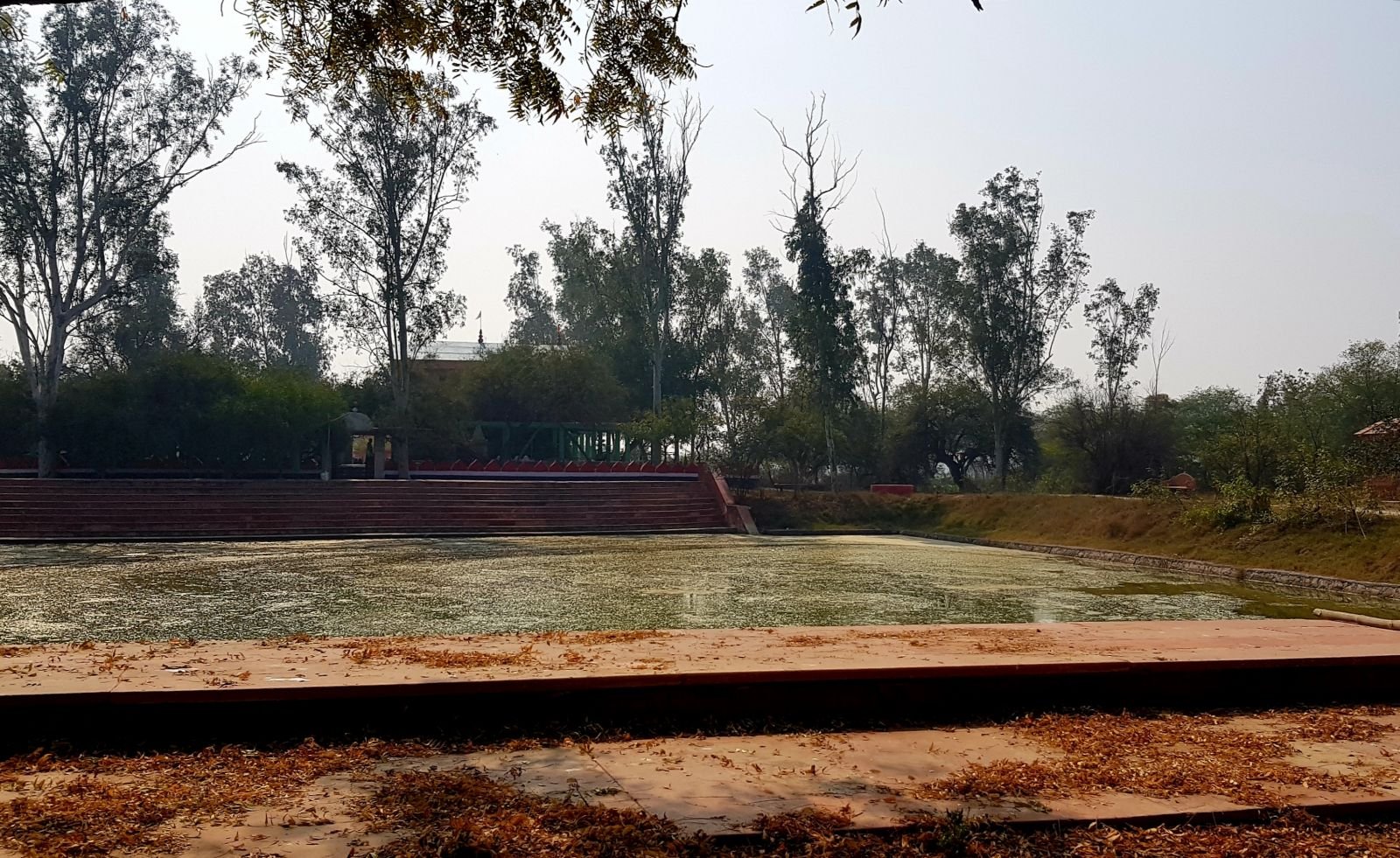 15 ter kadamba 2020 02 091