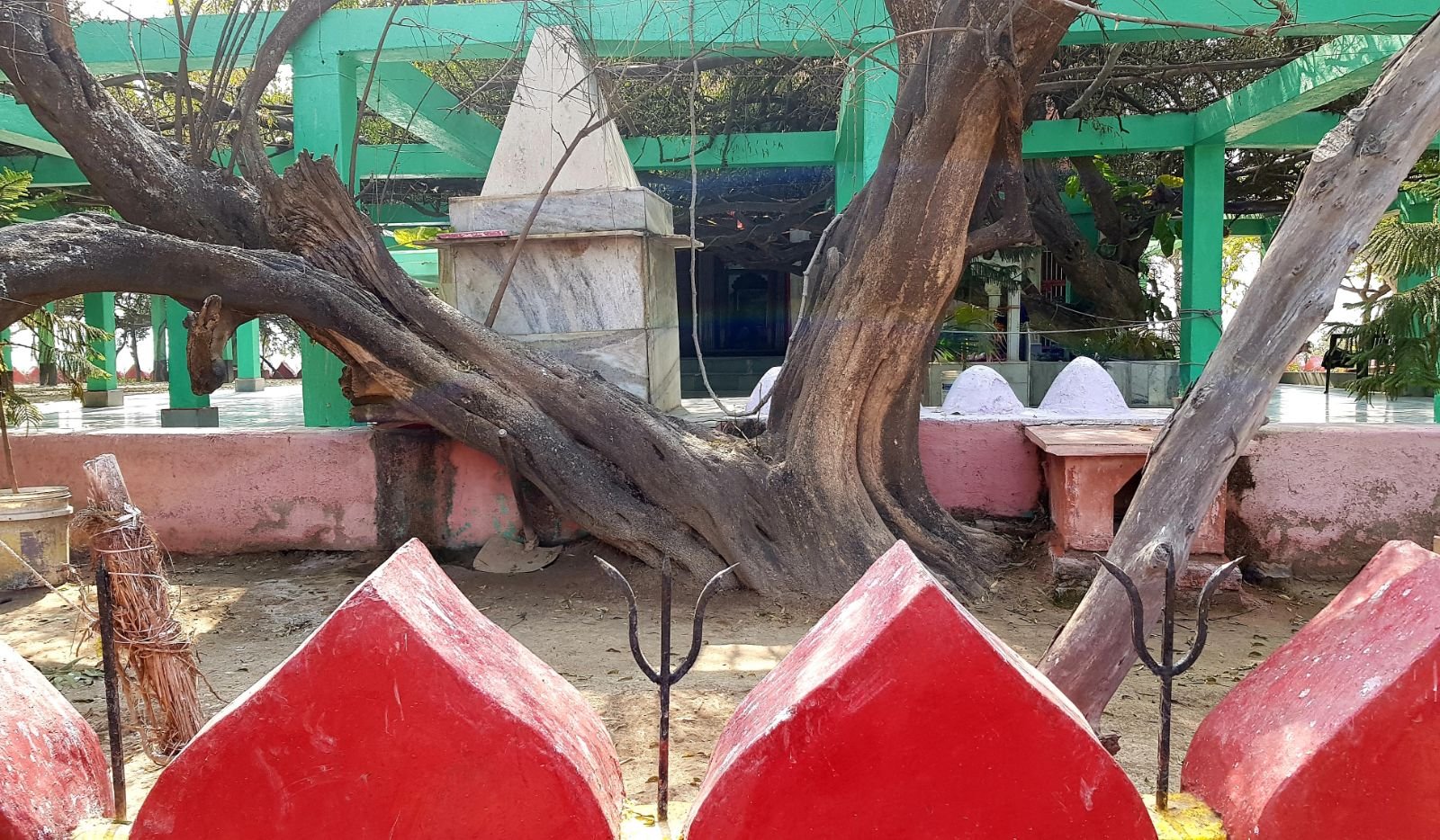 19 ter kadamba 2020 02 091