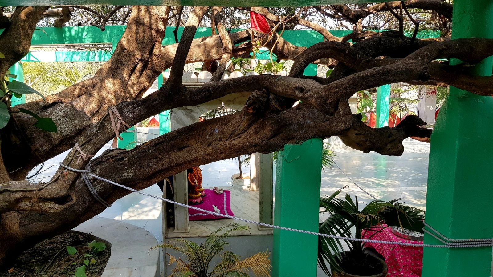 23 ter kadamba 2020 02 091