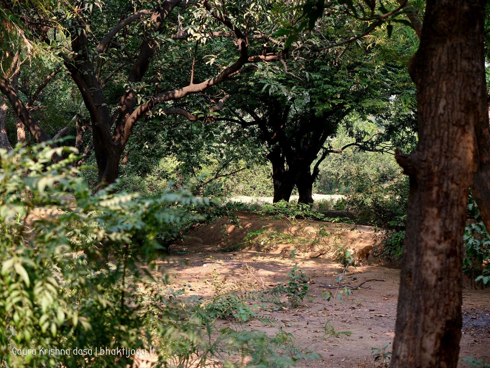 10 krishnas garden varshana 2019 12 10
