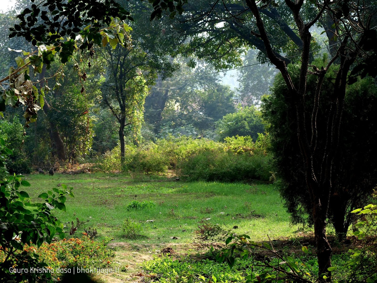 13 krishnas garden varshana 2019 12 10
