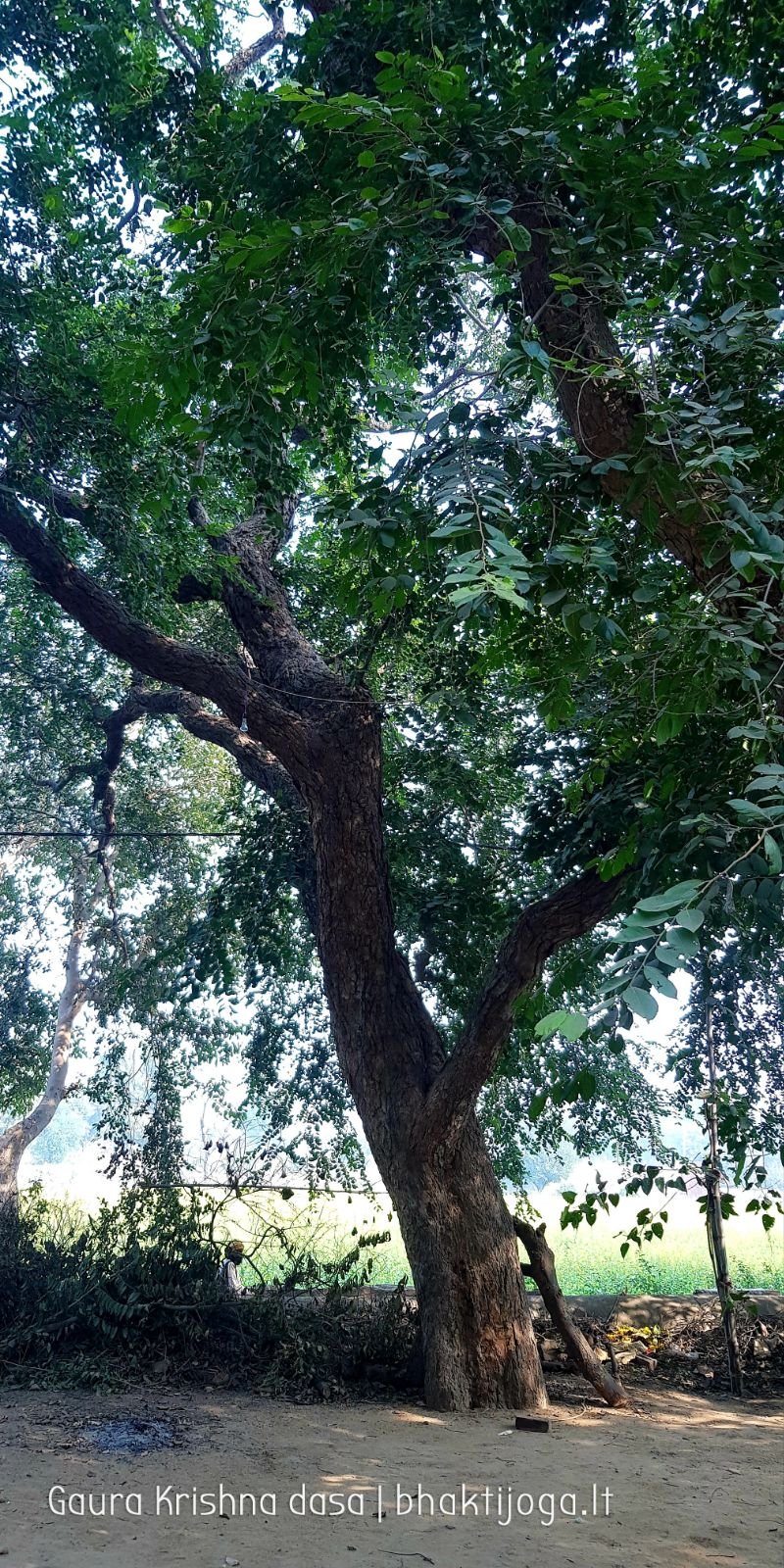 19 krishnas garden varshana 2019 12 10