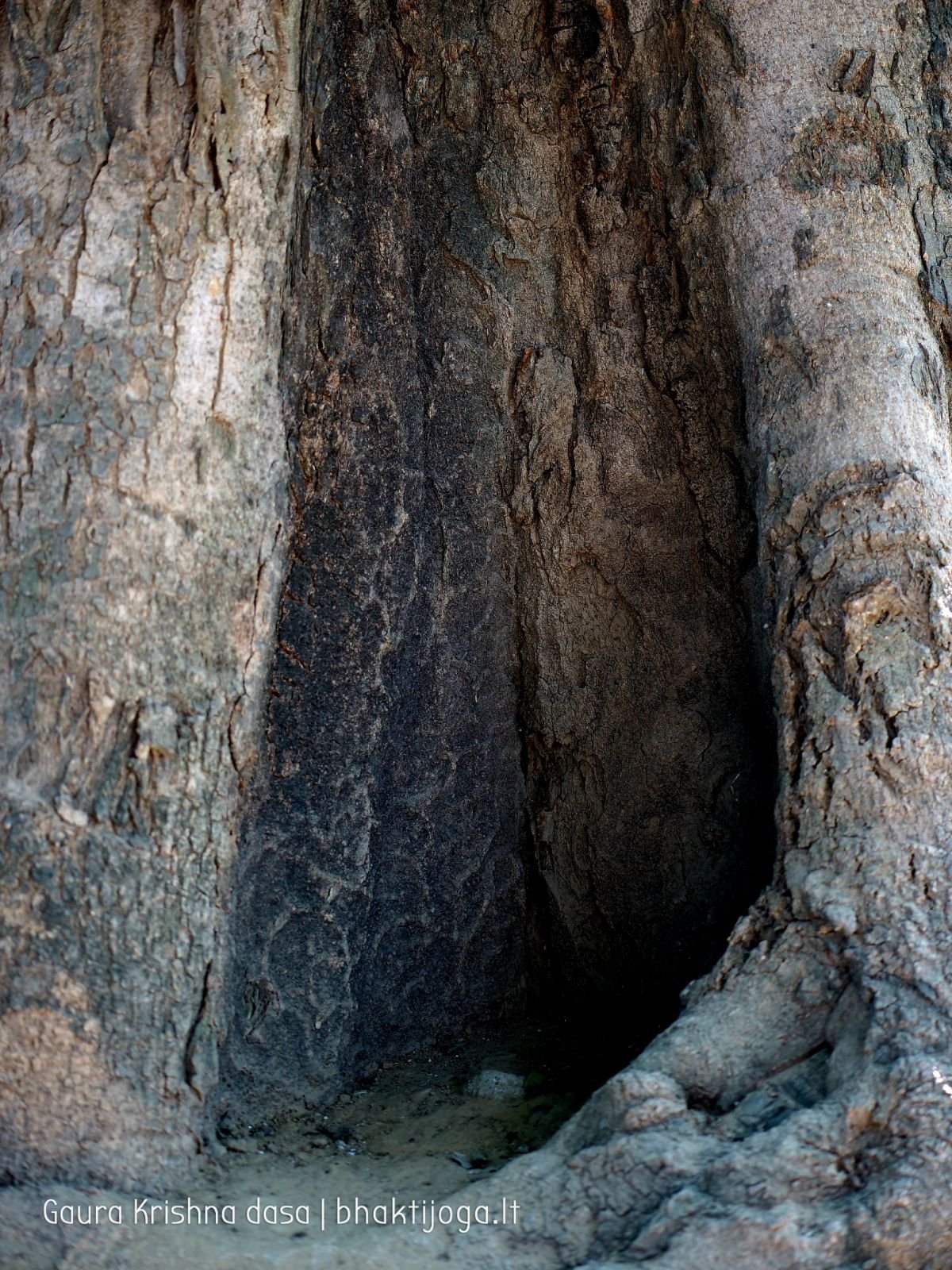 24 krishnas garden varshana 2019 12 10