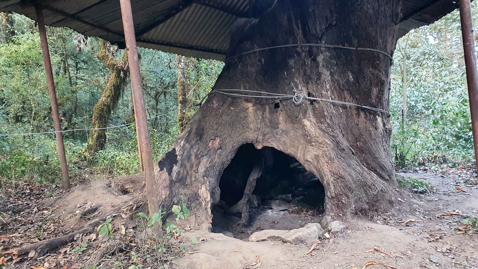 58 shiva puri mountain trees kathmandu nepal 2024.01.08