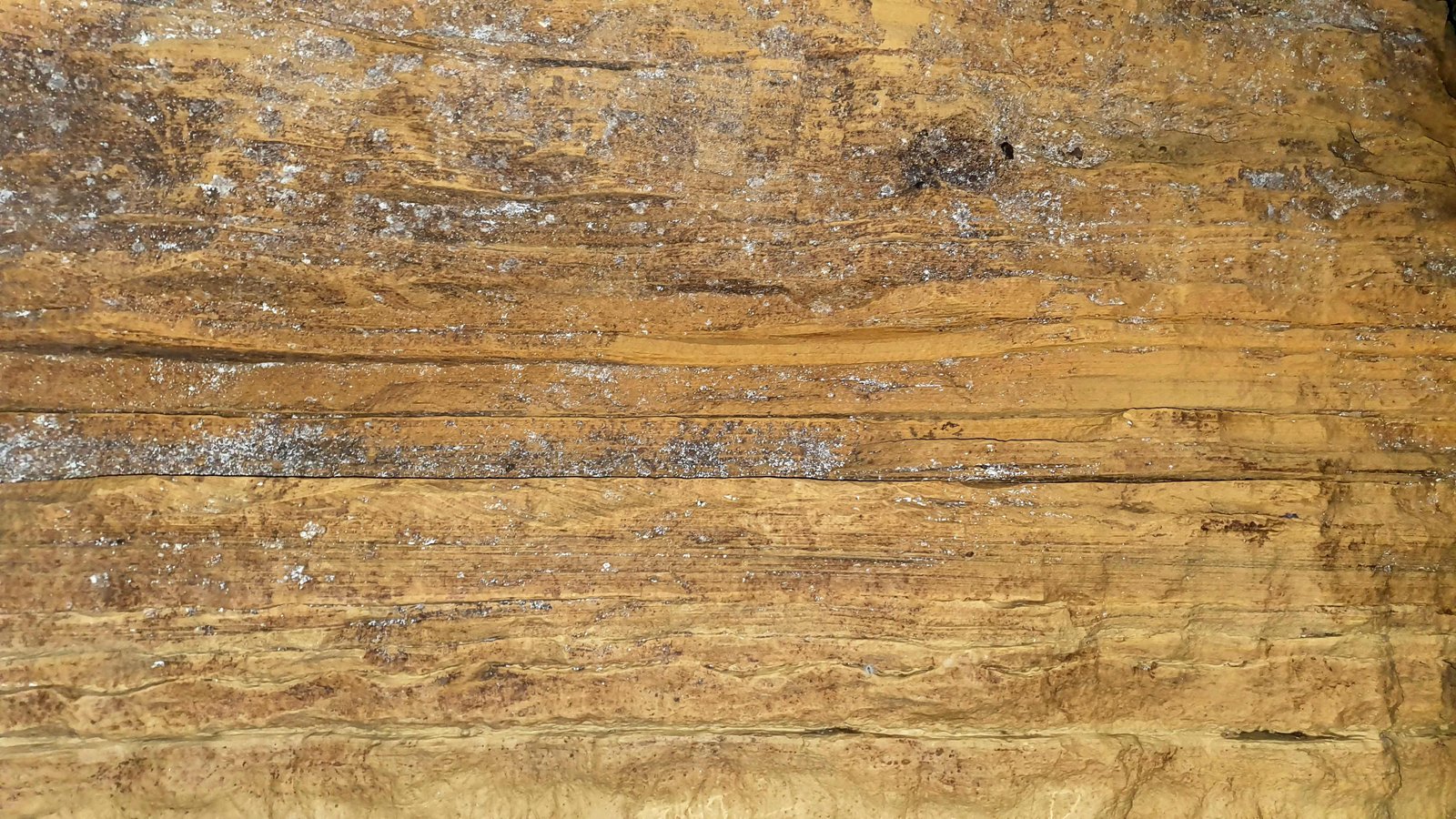 26 gupteshwara cave pokhara nepal 2023 12 30